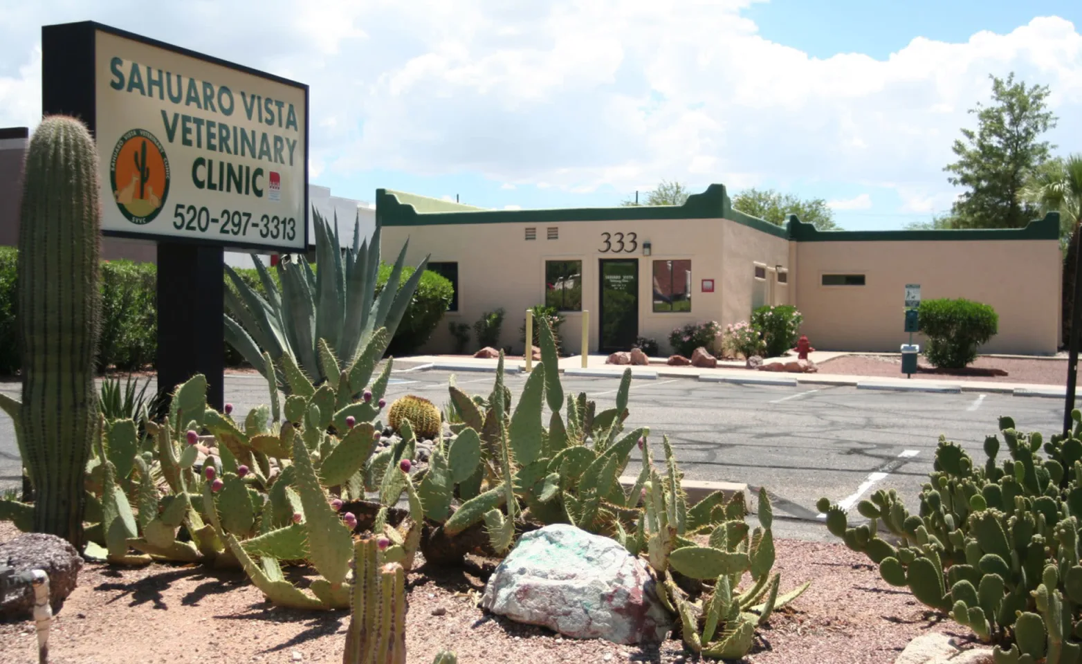 exterior of Sahuaro Vista Veterinary Clinic and parking lot with desert cacti and landscaping